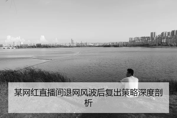 某网红直播间退网风波后复出策略深度剖析